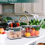 Freshness Preservation Food Storage Container(Pack of 2) 056cc4-2