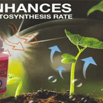 Plant Growth Enhancer Supplement (Pack of 2) - shoponez.com