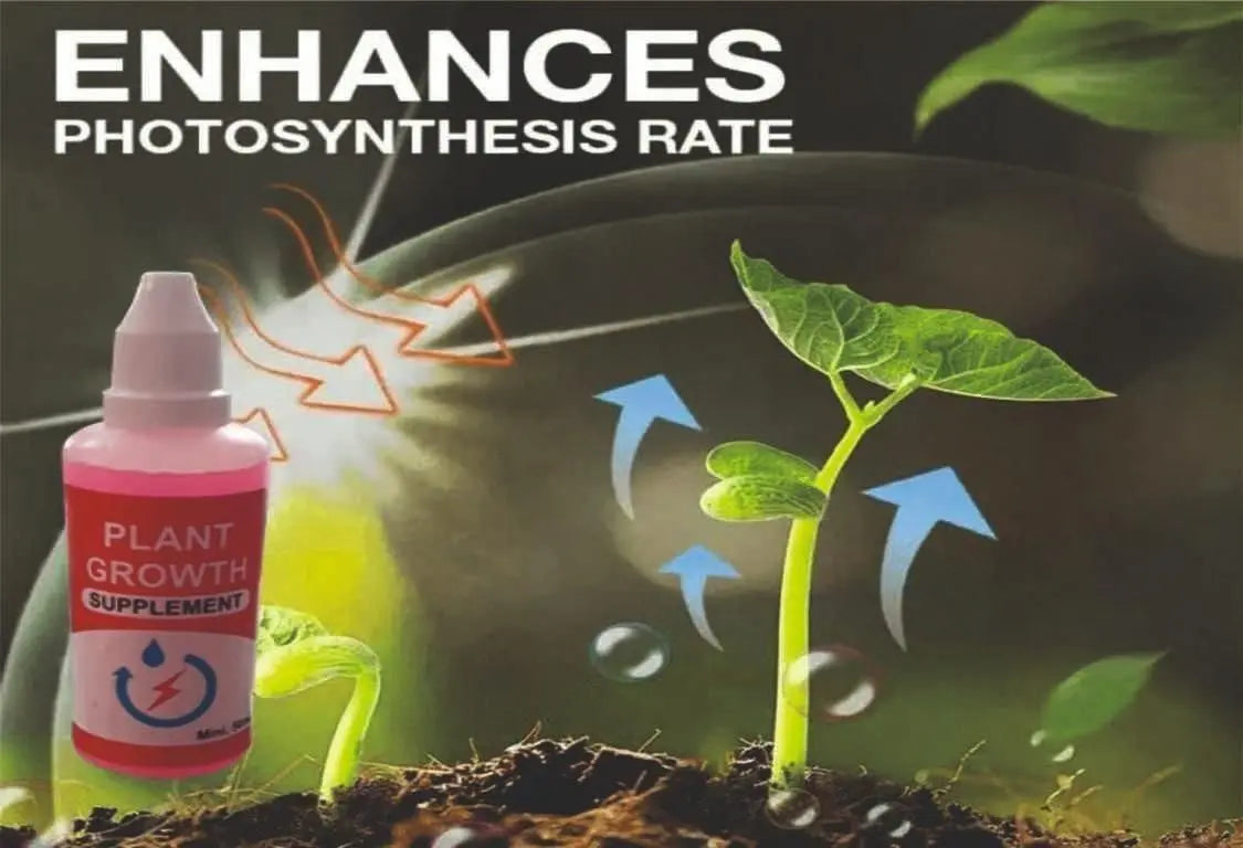 Plant Growth Enhancer Supplement (Pack of 2) - shoponez.com