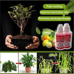 Plant Growth Enhancer Supplement (Pack of 2) - shoponez.com
